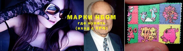 PSILOCYBIN Михайлов